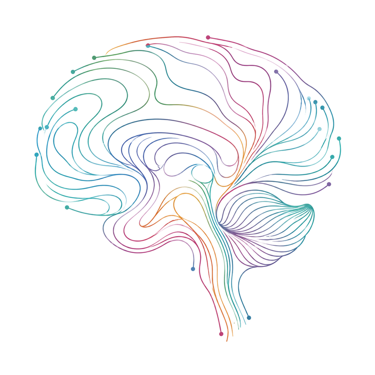 Cognitive Refit